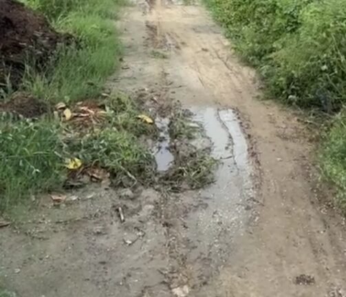 palwal gao ayanagar badola road poor