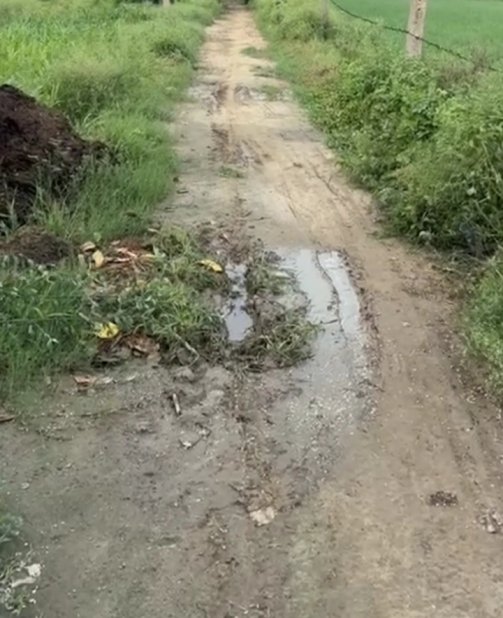 palwal gao ayanagar badola road poor